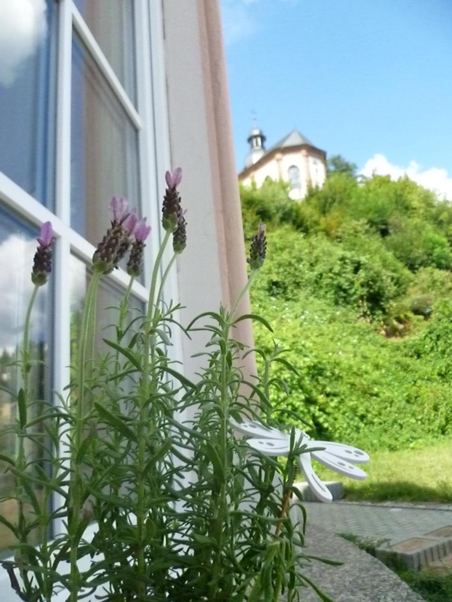 Moderne Wohnung In Barockem Altstadthaus Nahe Altstadt Und Radweg Блискастел Екстериор снимка